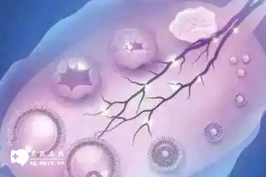 女性备孕养卵泡的食物有哪些？这3大类食物+香椿，提高生育力非常好