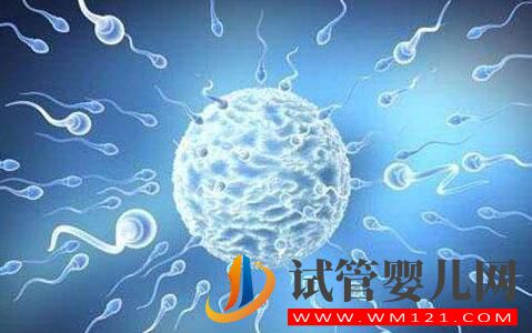 子宫内膜过薄会有什么影响?试管前应该如何预防?(图3) 子宫内膜过薄会有什么影响?试管前应该如何预防?